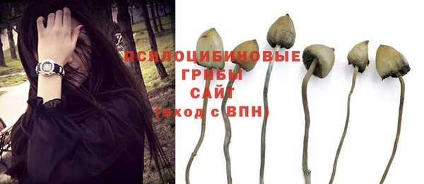 мдпв Верхний Тагил