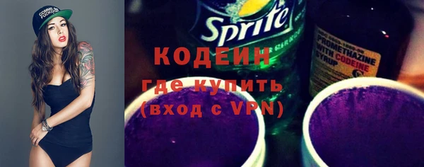 мдпв Верхний Тагил