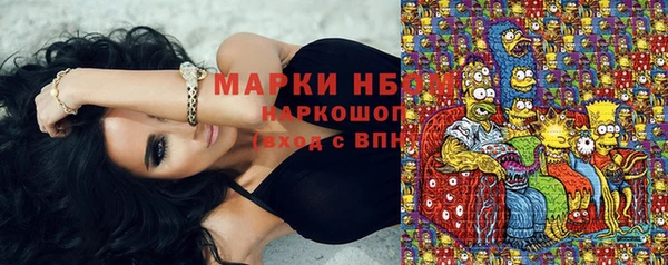 мдпв Верхний Тагил