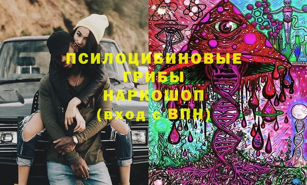 мдпв Верхний Тагил