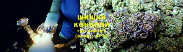 мдпв Верхний Тагил