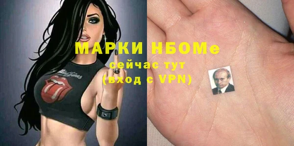 мдпв Верхний Тагил